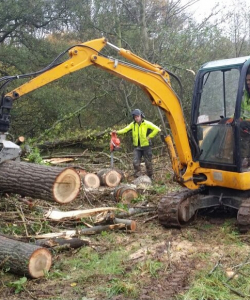 Site Clearance