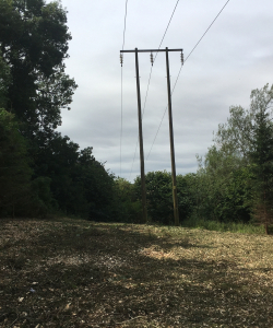 Site Clearance