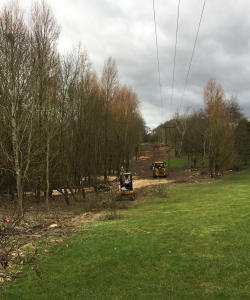 Site Clearance