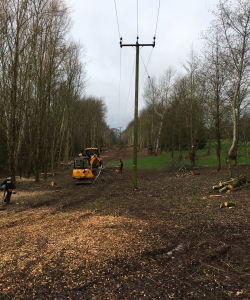 Site Clearance