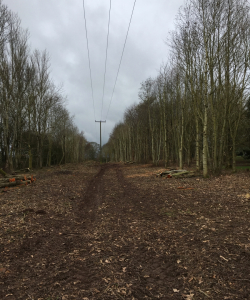 Site Clearance
