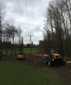 Site Clearance