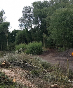 Site Clearance