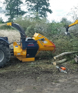 Site Clearance