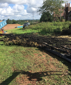 Site Clearance