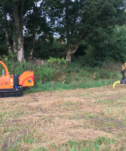 Site Clearance