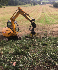 Site Clearance