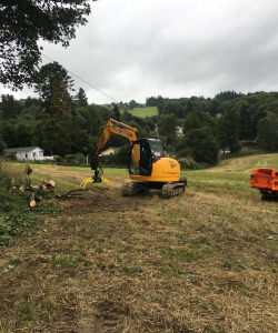 Site Clearance
