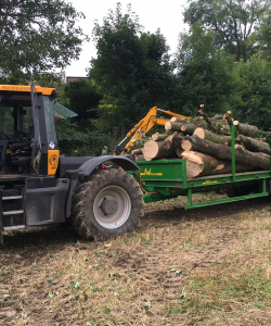 Site Clearance
