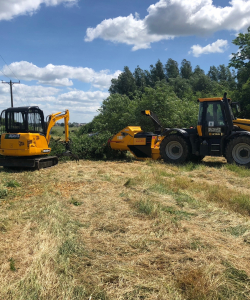 Site Clearance