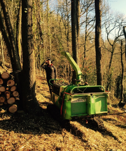 Site Clearance