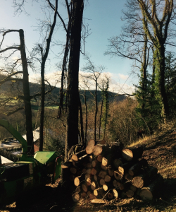 Site Clearance