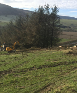 Site Clearance
