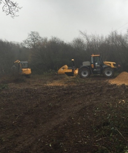 Site Clearance